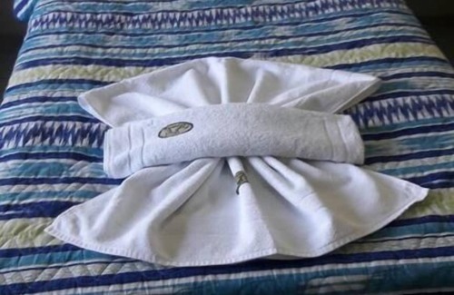Machado Hotel | JC Palace Hotel