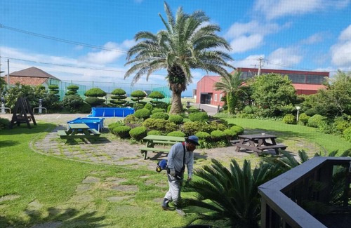 Hallim Casa | Jeju again olle pension