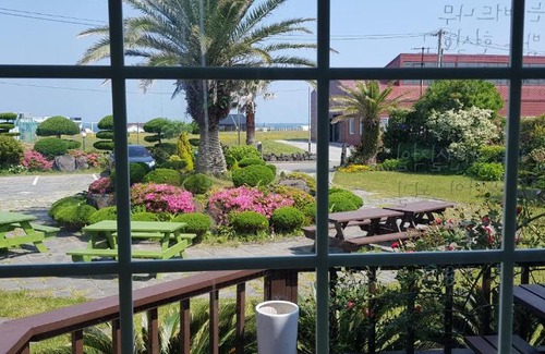 Hallim Casa | Jeju again olle pension