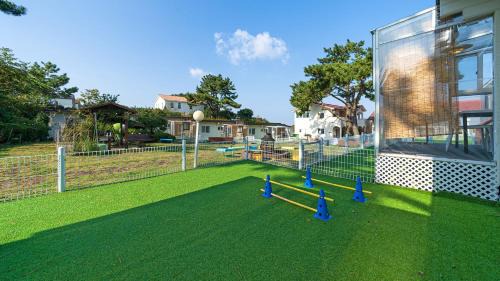 Downtown Complejo | Jeju dangdangipark resort