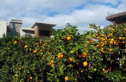 Jungmun Complejo | Jeju Eco Suites