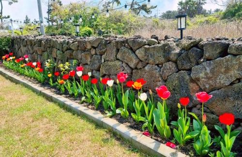Hallim Casa | Jeju Sunshine Pension