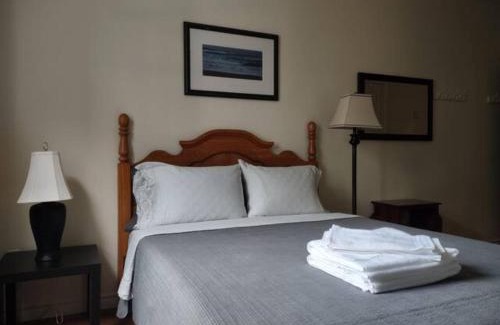 Downtown St. John's Casa | Jelly Bean 1