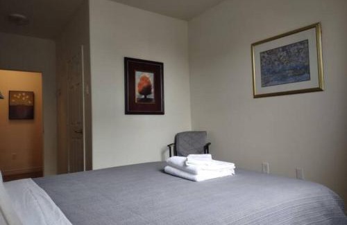 Downtown St. John's Casa | Jelly Bean 1
