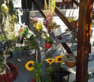 Gerakini Casa | Jenny's House