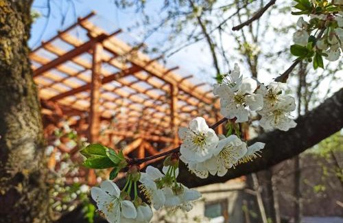 Dilijan Casa | Jermatun Guest House