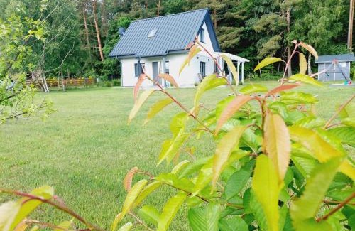Choczewo Casa | JESZCZE BARDZIEJ DZIKI SAD