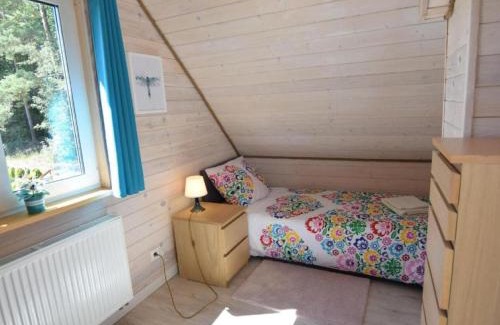 Choczewo Casa | JESZCZE BARDZIEJ DZIKI SAD