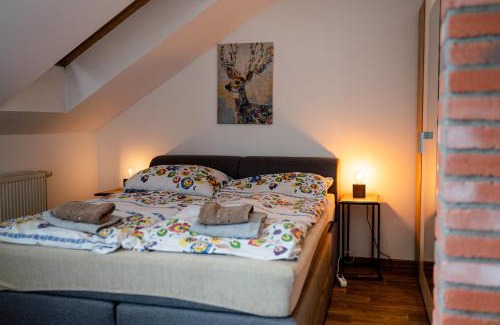 Planice Casa | JEZ&SPI Plánice