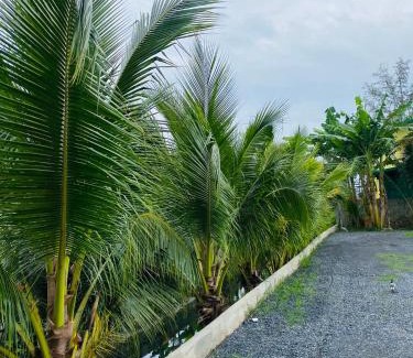 Sa Khu Hotel | Jhen House