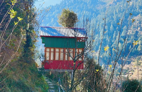 Jibhi Cabaña | Jibhi Bliss Treehouse Cottage