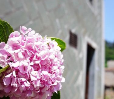 Nangan Casa | Jin Sha Ting Hai Homestay I