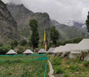 Jispa Cama Y Desayuno | Jispa Journey Camp Lahoul & Spiti