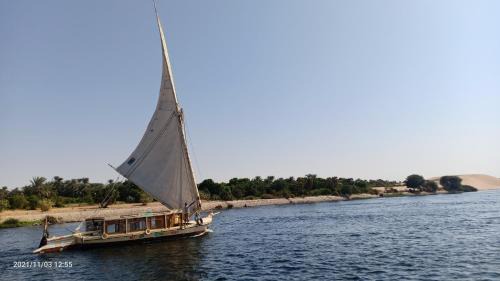 Aswan Alquiler De Eote | JJ Jamaica Felucca