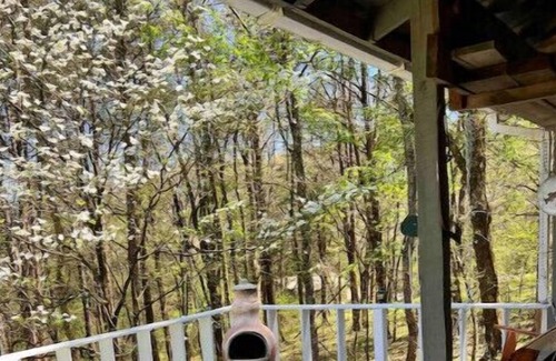 Gainesboro Cabina | JJ’s Trout and About