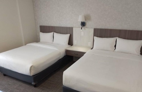 San Luis Potosí Hotel | JM & Suites