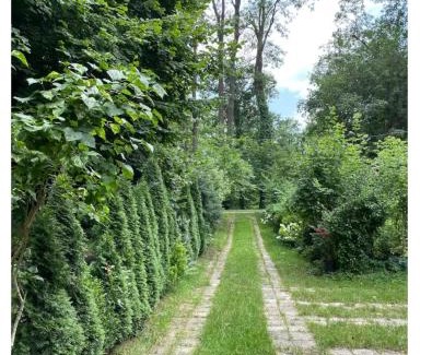 Zwierzyniec Casa | Jolanta Skrzynska noclegi