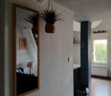 Agen Apartamento | Joli appartement en centre ville et au calme