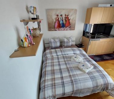 Belmont-sur-Lausanne Apartamento | Joli studio avec terrasse et vue POUR NON FUMEURS