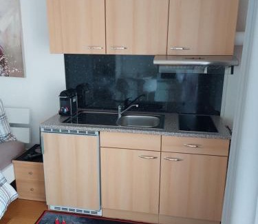 Belmont-sur-Lausanne Apartamento | Joli studio avec terrasse et vue POUR NON FUMEURS