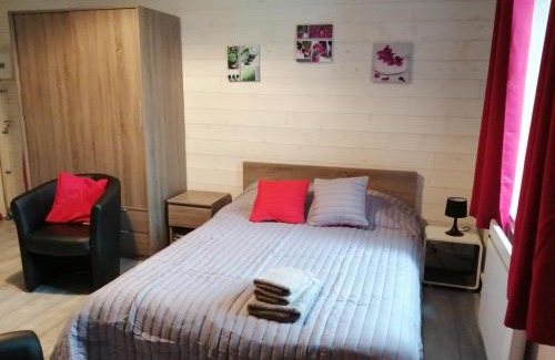 Vittel Apartamento | Joli studio dans un ancien hôtel du XIX siècle - Proche toutes commodités - Thermes et Parc