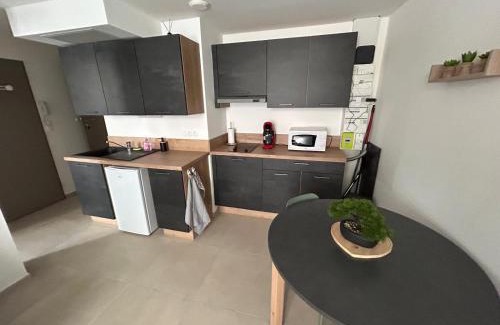 Saint-Donat-sur-l'Herbasse Apartamento | Joli T2 chez Mumu