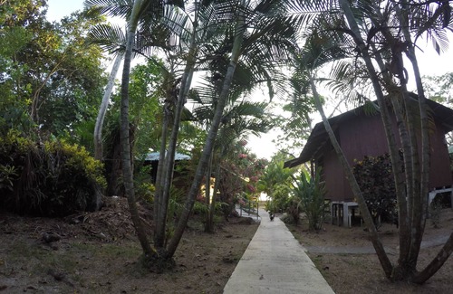 Bahía Drake Cama Y Desayuno | Jonny's cabins drake day