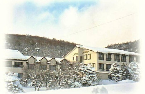 Takayama-mura Cabina | Joshin’etsukogen National Park HOTEL FUJIYA
