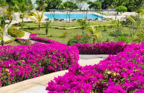 Michamvi Complejo | Jua Retreat Adults Only