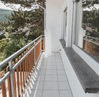 Traben-Trarbach Apartamento | Julia's Mosel Villa Appartement TONY