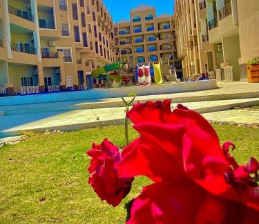 Al Ahyaa Apartamento | Juliana Beach