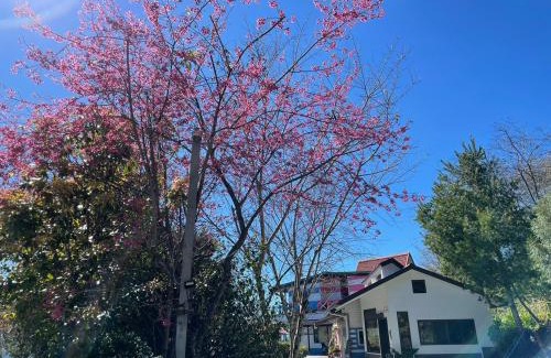 Ren'ai Casa | Julie's Garden, Cingjing - Fon Chin Homestay