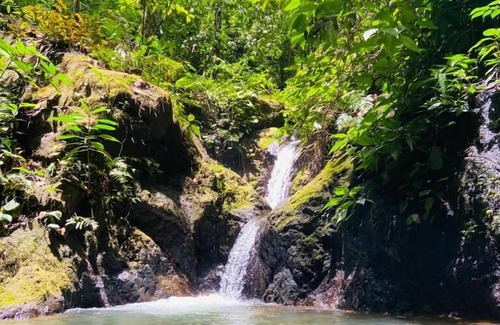 Bahía Drake Hotel | Jungle Drake