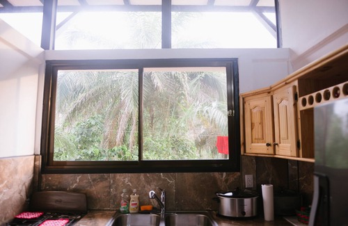 Parrita Apartamento | TARZAN JUNGLE HOME # 2 AC + POOL + ZIPLINE
