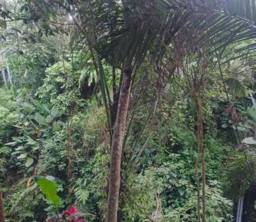 Penestanan Villa | Jungle Hideaway Villas Unit 2 - River View