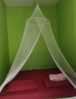 Bukit Lawang Casa | Jungle house and treking