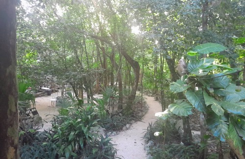Macario Gómez Casa | Jungle house.in Mcario Gomez 19 km outside of Tulum.
