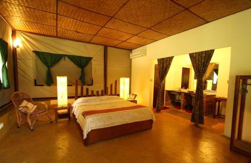 Masinagudi Complejo | Jungle Hut Resort