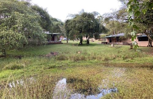 Masinagudi Complejo | Jungle Hut Resort