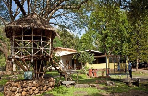 Masinagudi Complejo | Jungle Hut Resort