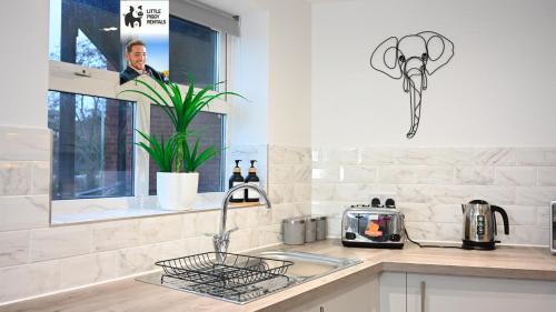 Bedford Cama Y Desayuno | Jungle King Suite with Parking