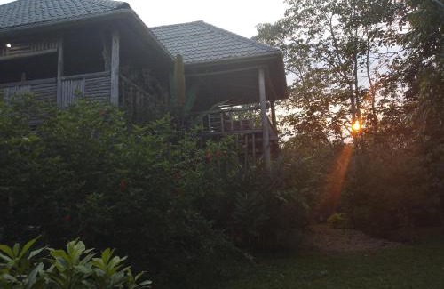 Kibale Cabina | Jungle Lodge Kibale