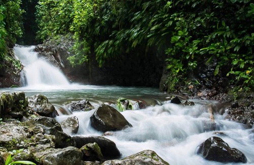 Cantón de Parrita Casa | Jungle Montain House with Privite Pool and 3 Bedrooms near Manuel Antonio