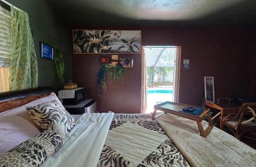 Temple Terrace Apartamento | Jungle Oasis By Busch Gardens USF and Amphitheater