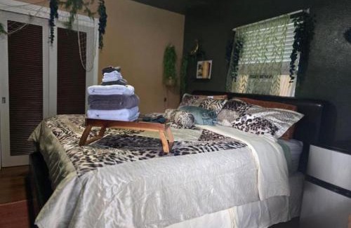 Temple Terrace Apartamento | Jungle Oasis By Busch Gardens USF and Amphitheater