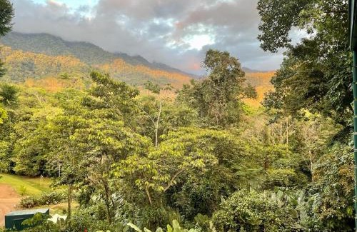 Ballena Cabina | Jungle Passion Lodge