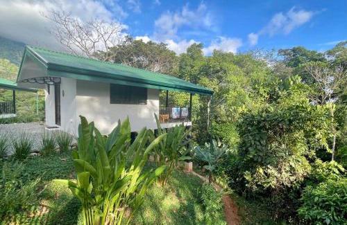 Ballena Cabina | Jungle Passion Lodge