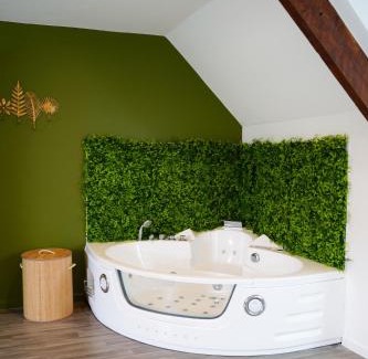 Queven Apartamento | Jungle Room - Studio avec spa privé