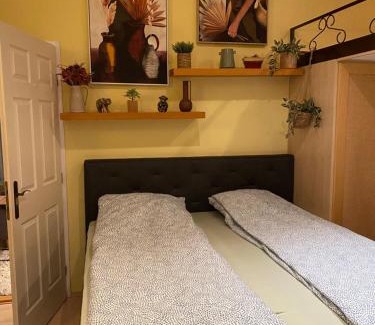 Orszagut Apartamento | Jungle Story Apartment by Millenaris Park with Free Parking