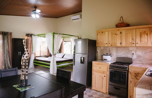Parrita Casa | TARZAN JUNGLE HOME # 2 AC + POOL + ZIPLINE